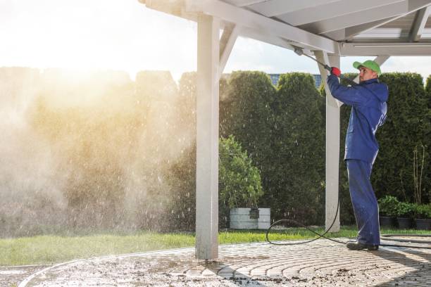 Best Dumpster Area Cleaning  in Clayton, CA